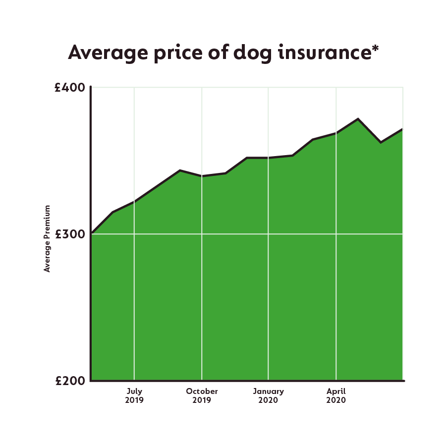 Has Covid19 Affected the Cost of Pet Insurance?